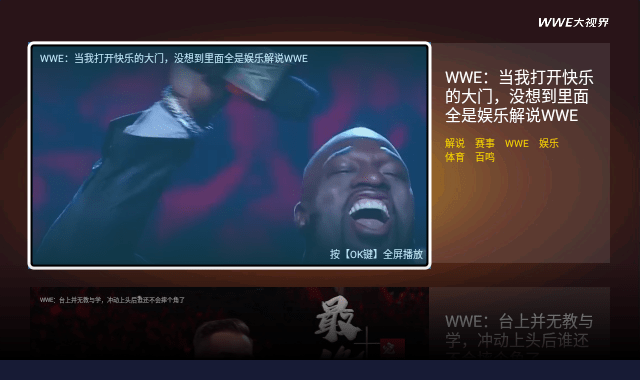 wwe大视界中文版