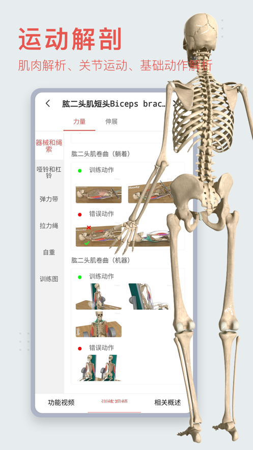 3dbody解剖图中文版