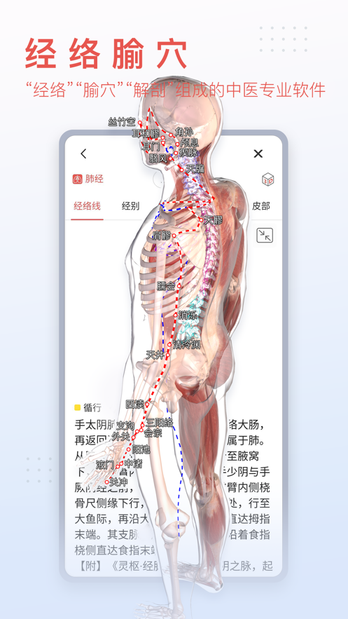 3dbody解剖图中文版