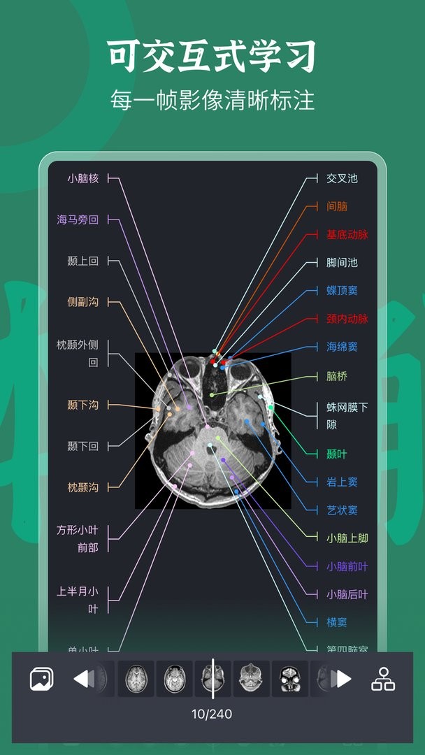 万康人体解剖极速版