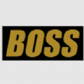 boss视频破解版