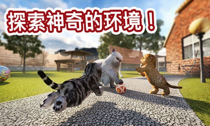 迷你小猫城市生存免费版