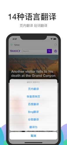 alook浏览器官方版