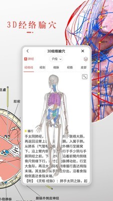 3d人体解剖学安卓版