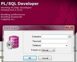 PL/SQL Developer 12.0.1汉化版