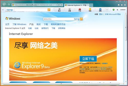 Internet Explorer 9.0(32位 for XP)