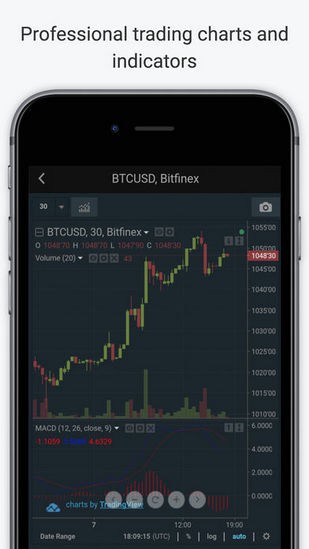 Bitfinex交易平台极速版