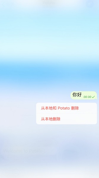 potato chat汉化版